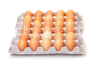 Fresh Brown Eggs in Carton