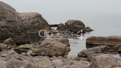 motion of the waves on the beach