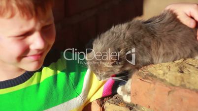 Boy playing with cat