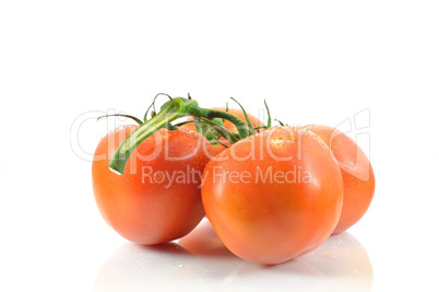 Sprig and tomato on a white background