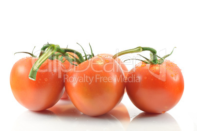 Sprig and tomato on a white background