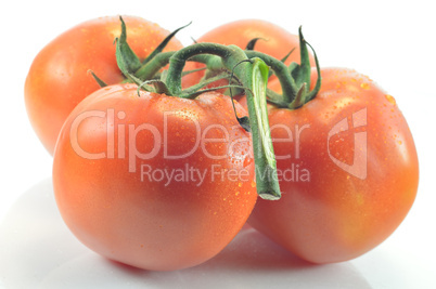 Sprig and tomato on a white background