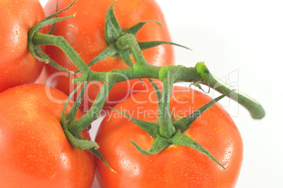 Sprig and tomato on a white background