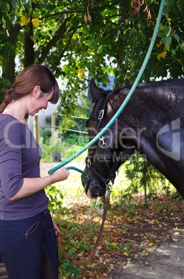 Reitsport auf dem Friesen Pferd im Sommer - Pferdedusche