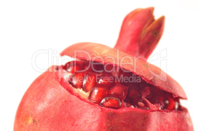 Red pomegranate on a white background