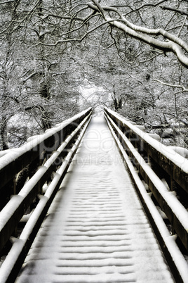 Snowcovered walkway Nidd Gorge
