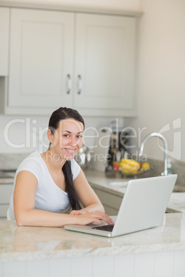 Young woman working on the laptop