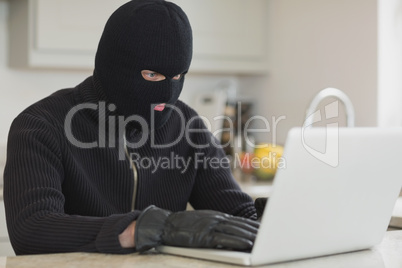Burglar hacking a laptop