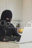 Robber hacking a laptop in the kitchen