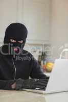Robber using laptop