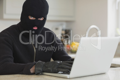 Burglar using laptop