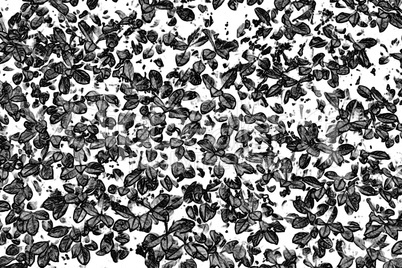 Abstract Black and White Leaves