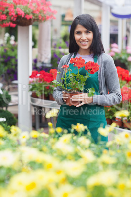 Garden center worker holding a red flower