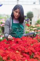 Woman holding a tablet while checking flowers