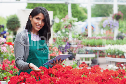 Employee choosing flowers with tablet pc in garden center