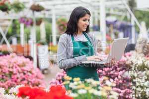 Woman doing stocktaking with laptop