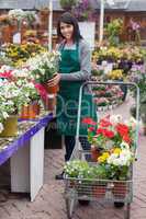 Woman filling the trolley with plants in the garden center