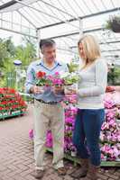 Couple choosing plants