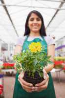 Woman holding unspotted plant
