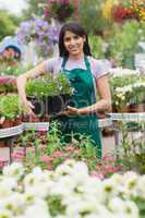 Cheerful florist carrying out tray of plants
