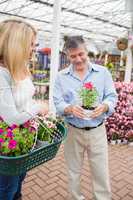 Couple deciding on a plant