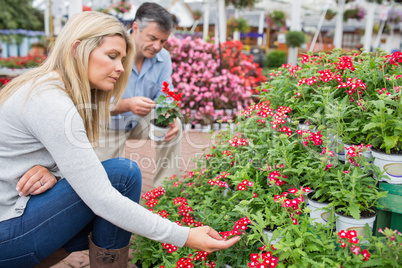 Couple looking for flowers