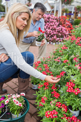Couple searching red flowers in store