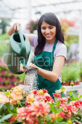 Garden center worker watering plants
