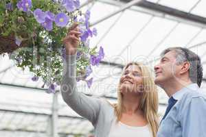 Happy couple looking at hanging flower basket