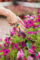 Gardener spading flowers
