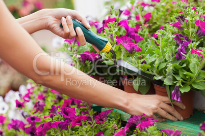 Woman spading flowers