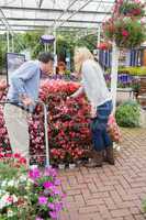 Couple looking for plants with a trolley