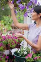Woman collecting flowers in garden center