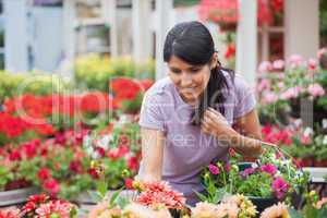 Woman looking at plants in garden center
