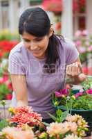 Woman shopping for plants