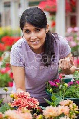 Cheerful woman shopping for flowers