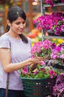 Woman choosing pink flower in garden center