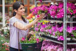 Woman looking at purple and pink plants