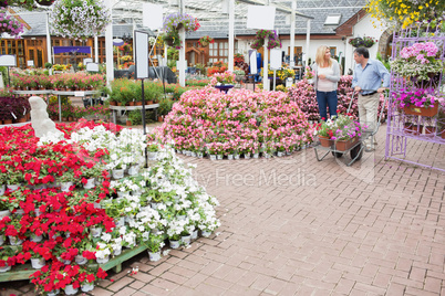 Outside of garden center with many types of plants and flowers