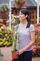 Woman smelling a daisy plant