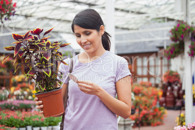 Woman looking for the name of the plant
