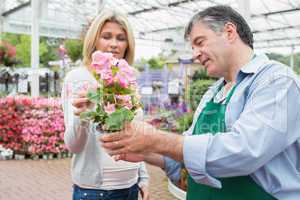 Woman talking to employee about plant