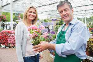 Garden center worker holding plant standing with woman