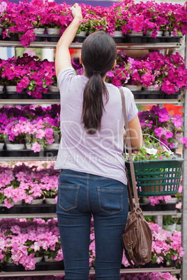 Woman taking a flower from shelves