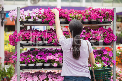 Woman taking a plant