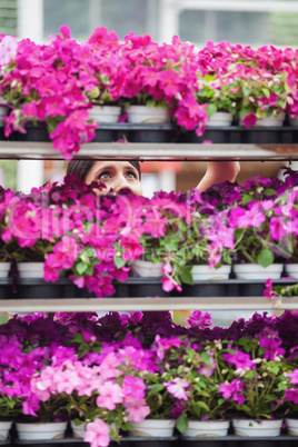 Woman looking up at shelves