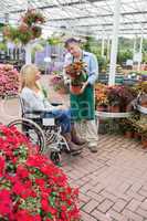 Woman in wheelchair looking at the plant