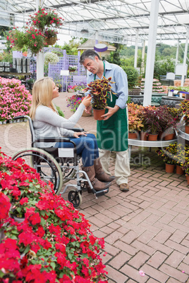 Woman in wheelchair buying a flower