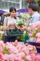 Woman with basket buying plants