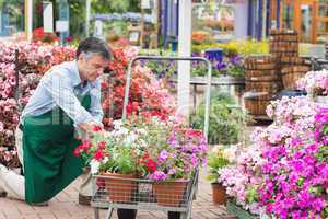 Man unloading flowers from trolley